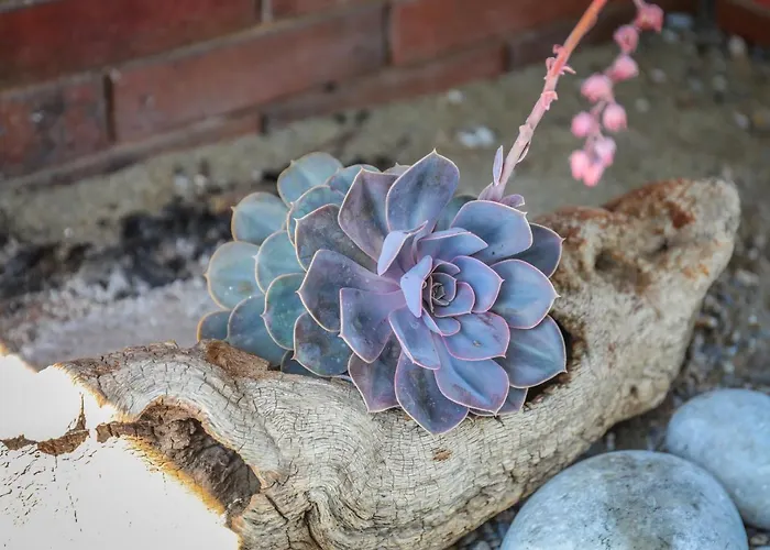 Georgia 빌라 스키아토스 타운